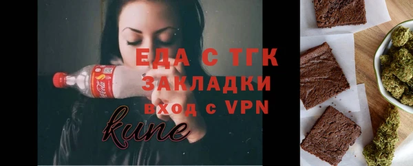 индика Алзамай