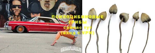 индика Алзамай