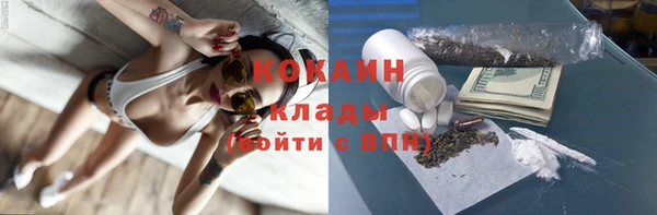 индика Алзамай