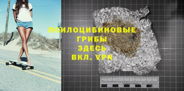 индика Алзамай