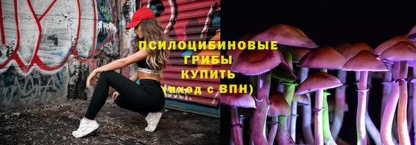 индика Алзамай