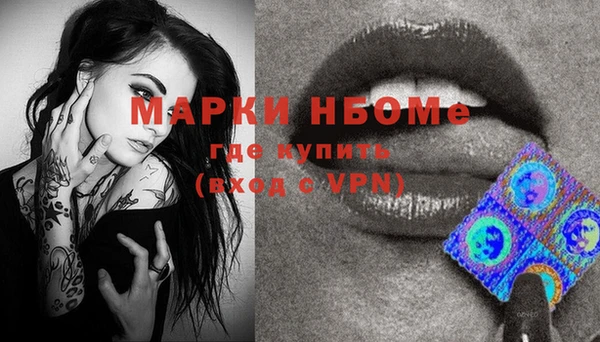 индика Алзамай